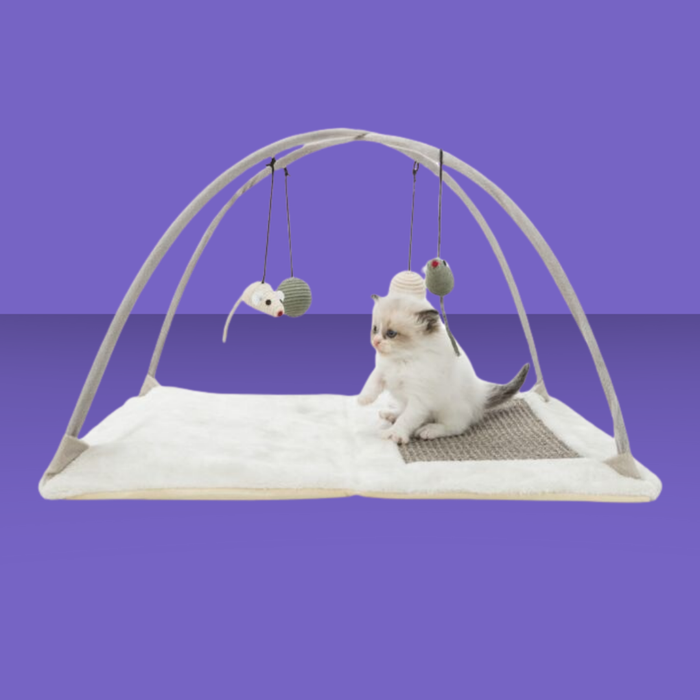 Trixie Cat Junior Activity Center