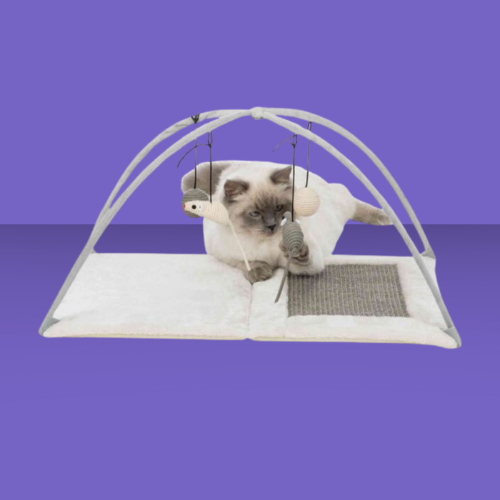Trixie Cat Junior Activity Center