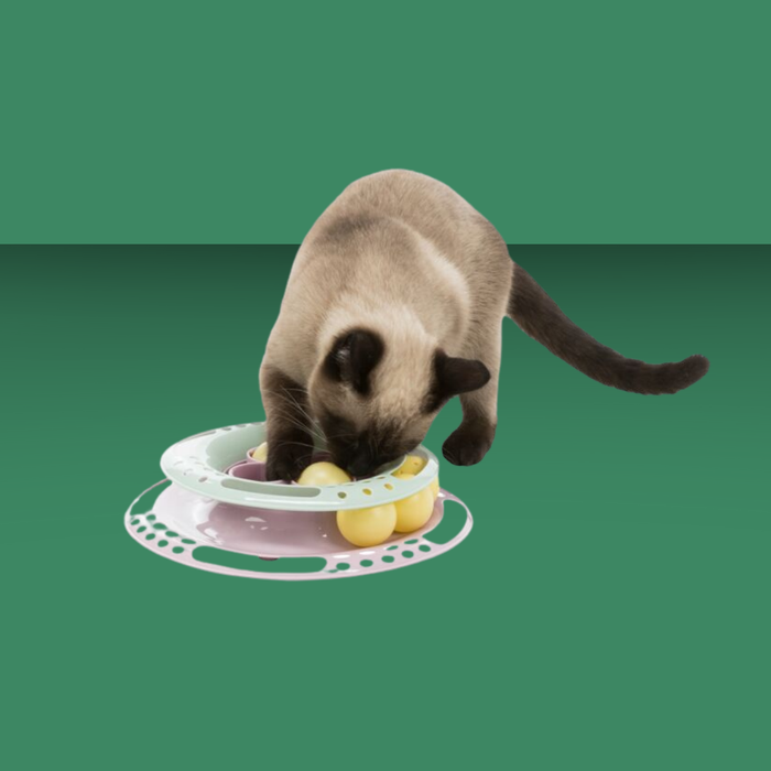 Trixie Cat Junior Activity Circle Track Kitten