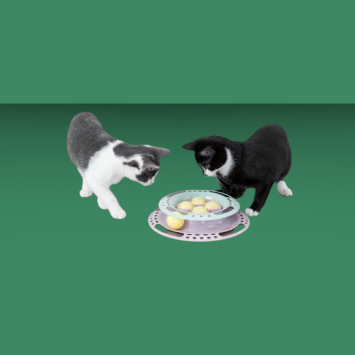 Trixie Cat Junior Activity Circle Track Kitten
