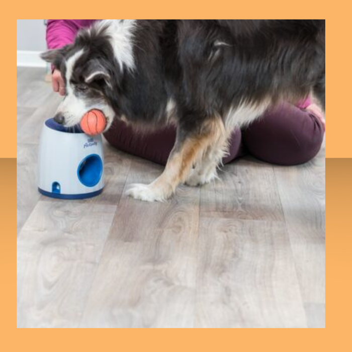 Trixie Dog Ball & Treat Strategy Game