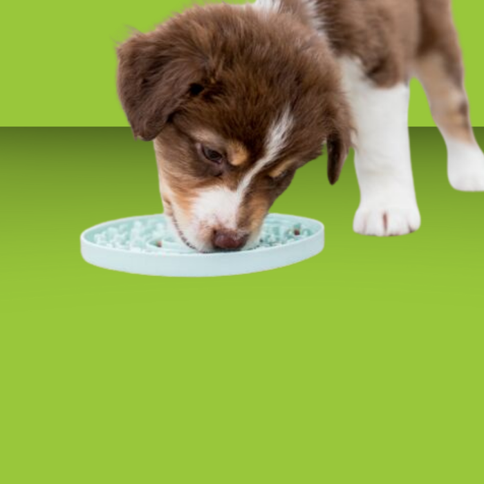 Trixie Dog Junior Licking Mat 8"
