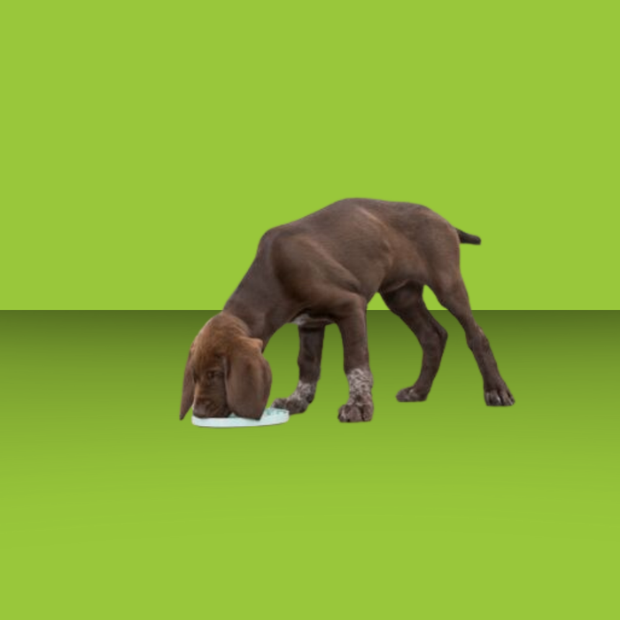Trixie Dog Junior Licking Mat 8"