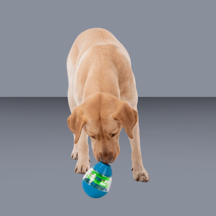 Trixie Dog Roly Poly Treat Dispenser
