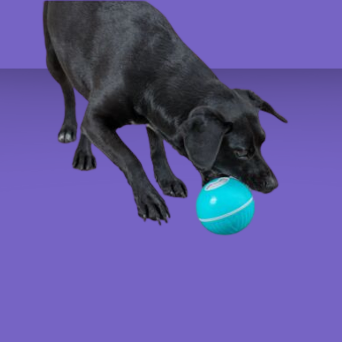 Trixie Dog Treat Tumbler Snack Ball Level 1