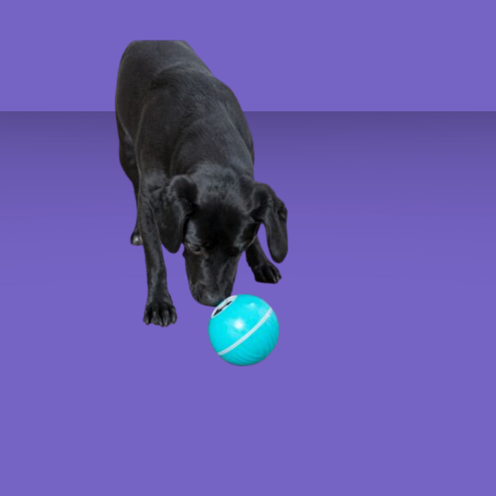 Trixie Dog Treat Tumbler Snack Ball Level 1