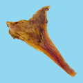 Tuesday's Natural Dog Company Ostrich Long Tendons 4oz