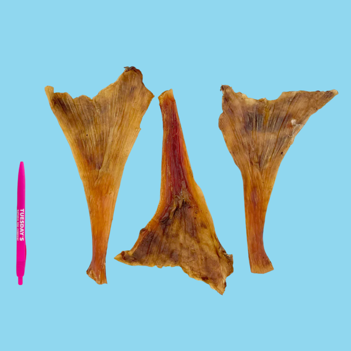 Tuesday's Natural Dog Company Ostrich Long Tendons 4oz