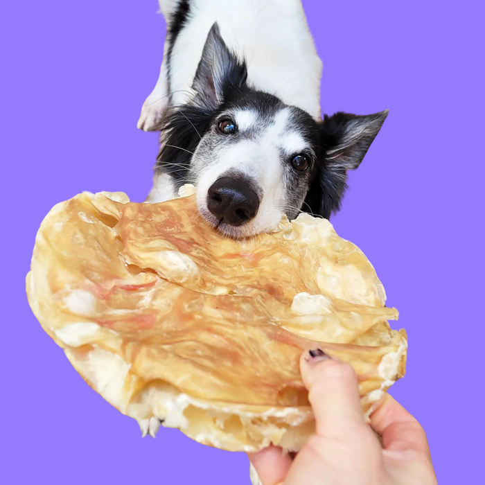 Tuesday's Natural Dog Company Tremenda Disc 3 Pack