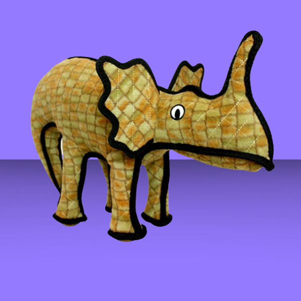 Tuffy Dinosaur Moosasaurus