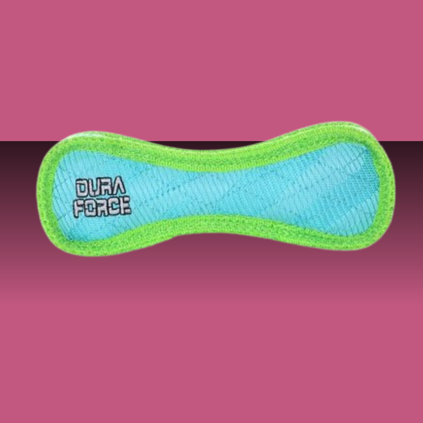 Tuffy DuraForce Bone Tiger Blue/Green