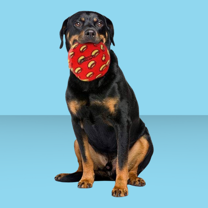 Tuffy Mighty Ball Red M