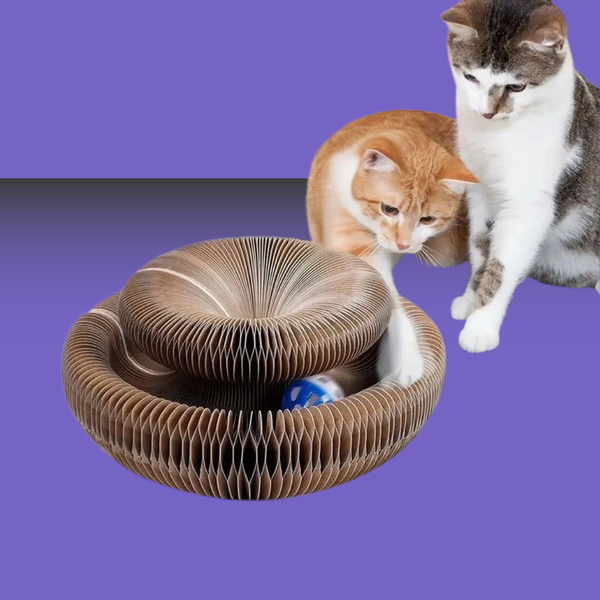 Vigor Magic Organ Cat Scratch Toy