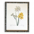 Vintage 1955 Botanical Prints in Green Bamboo Frames