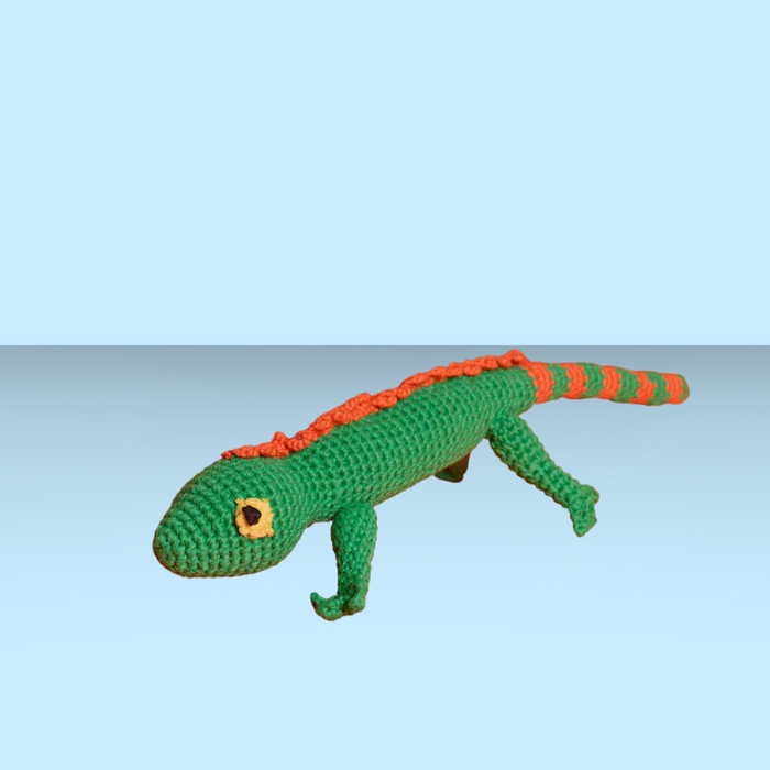 Ware of the Dog Lizard
