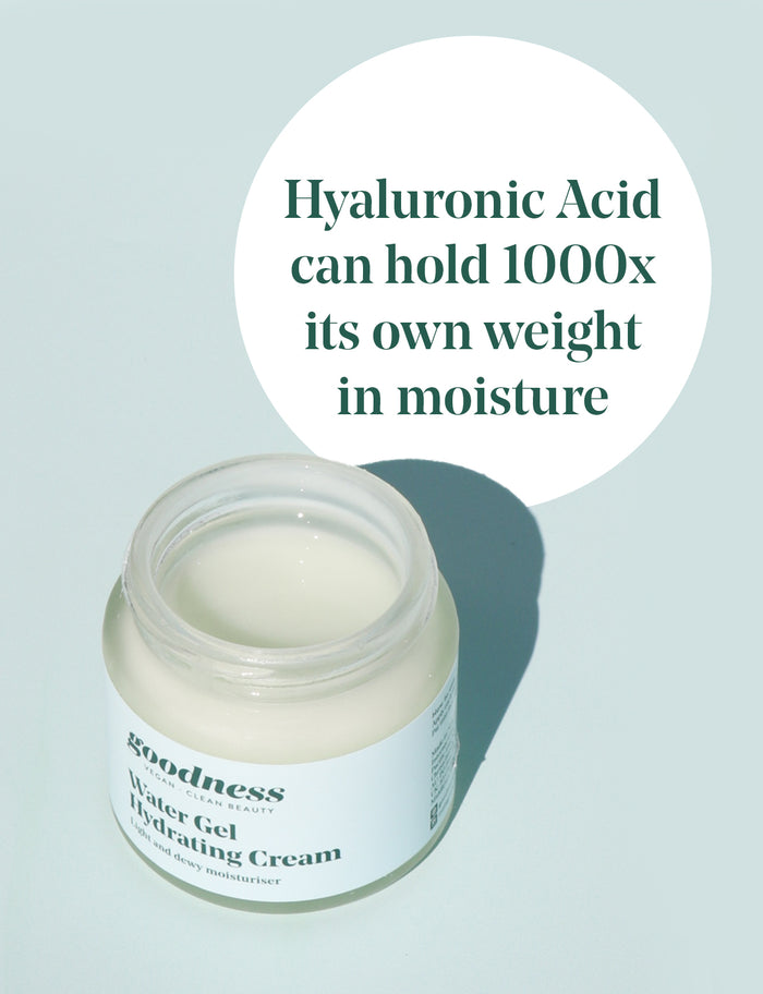 Goodness Vegan Skincare Water Gel Hydrating Cream with Hyaluronic Acid