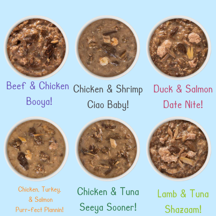 Weruva BFF OMG Potluck O Pouches Variety Pack