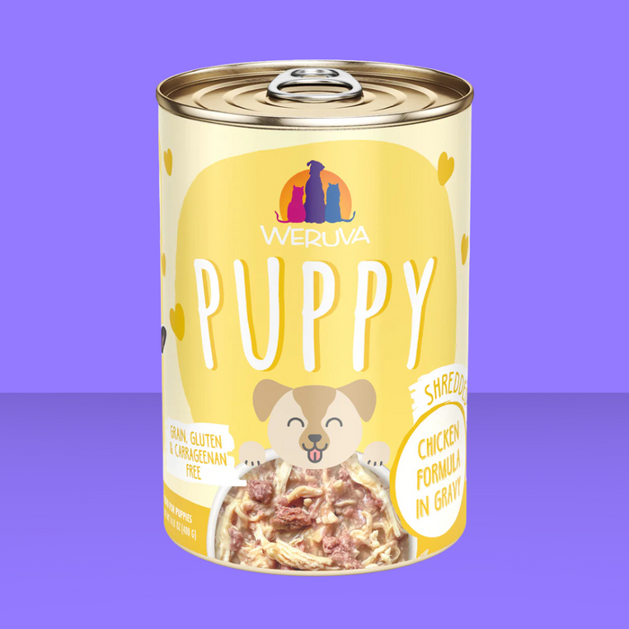 Weruva Puppy Chicken 14oz