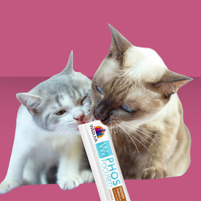 Weruva Wx Low Phosphorous Lickable Treat Chicken & Tilapia 5 Pack