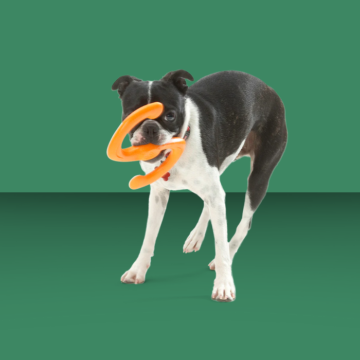 West Paw Bumi Tangerine S