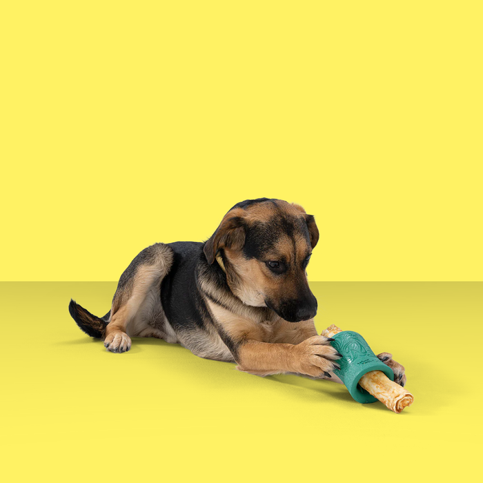 West Paw Funnl Kelp L