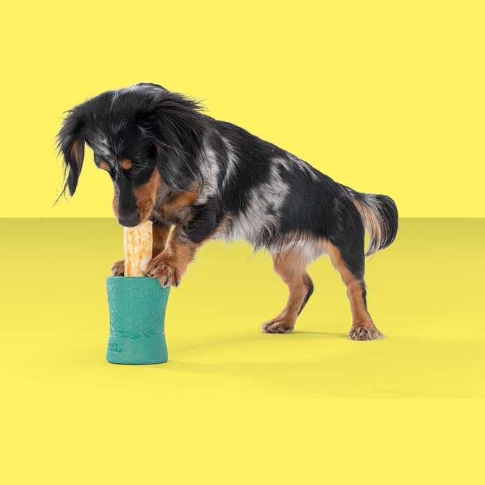 West Paw Funnl Kelp L