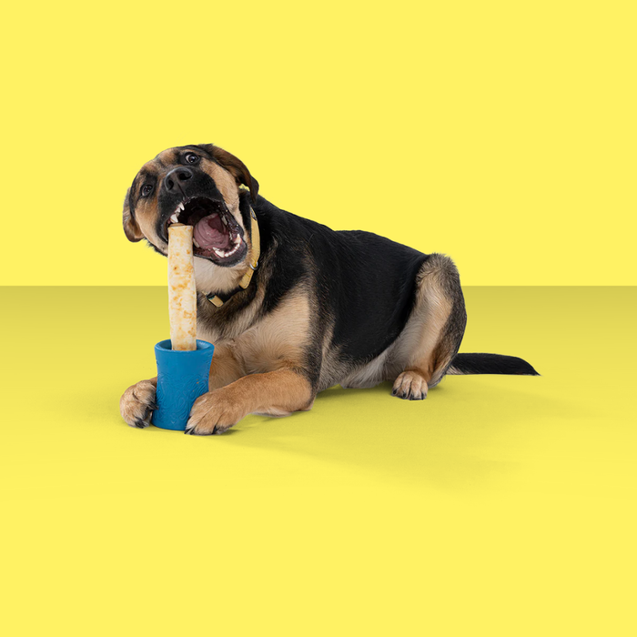 West Paw Funnl Marine L