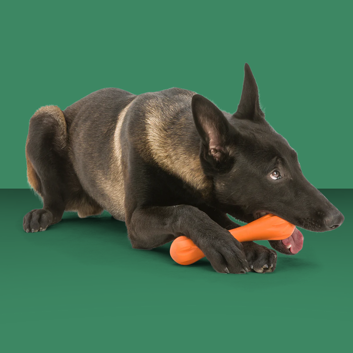 West Paw Hurley Granny Smith L