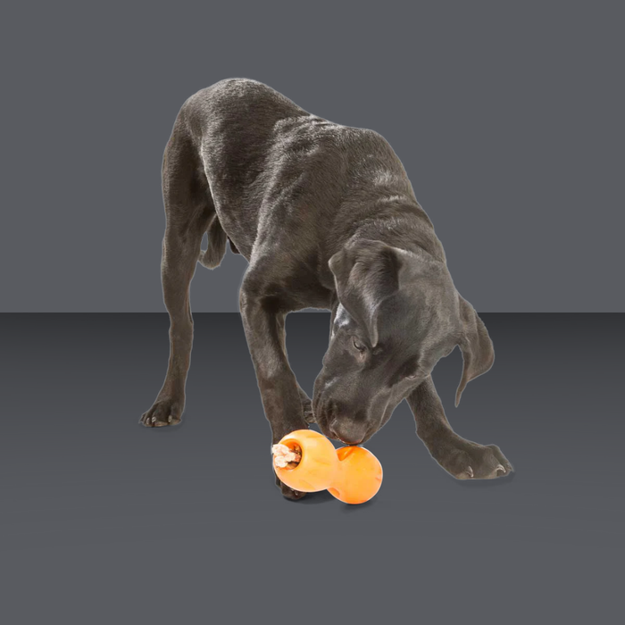 West Paw Qwizl Tangerine L