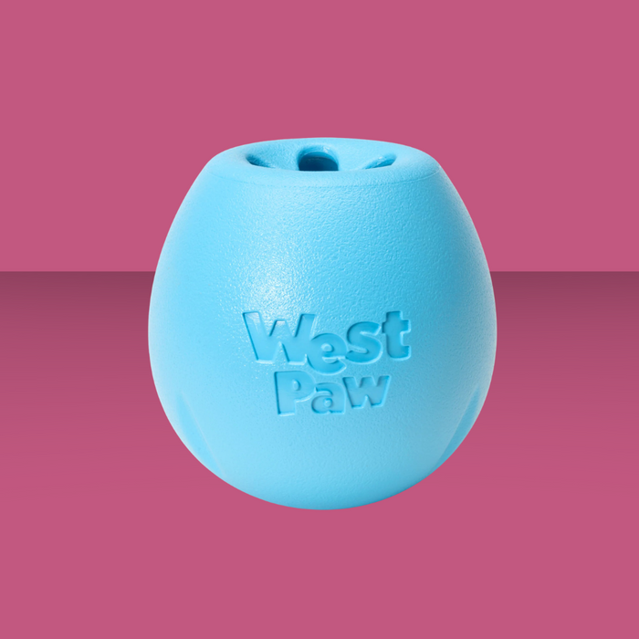 West Paw Rumbl Aqua S