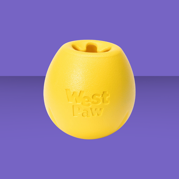 West Paw Rumbl Dandelion S