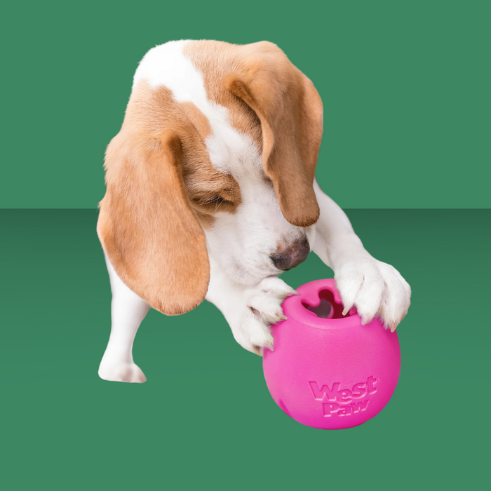 West Paw Rumbl Hot Pink L