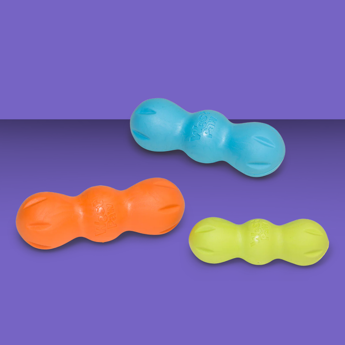 West Paw Rumpus Aqua M