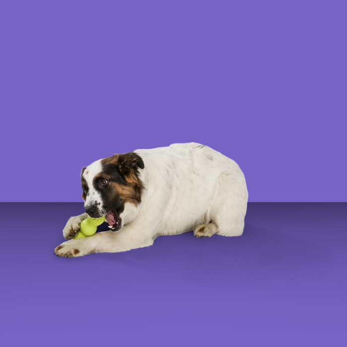 West Paw Rumpus Granny Smith M