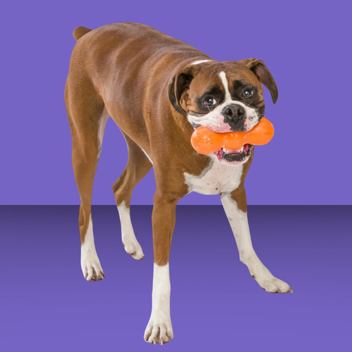 West Paw Rumpus Tangerine S
