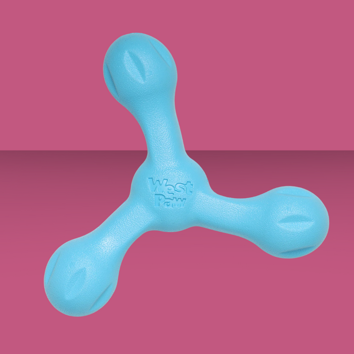West Paw Skamp Aqua