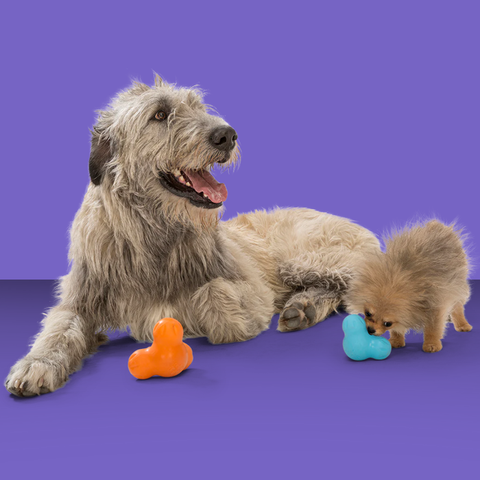 West Paw Tux Tangerine S