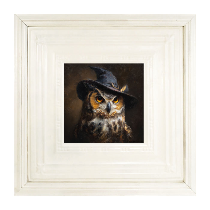 Witch Hat Owl