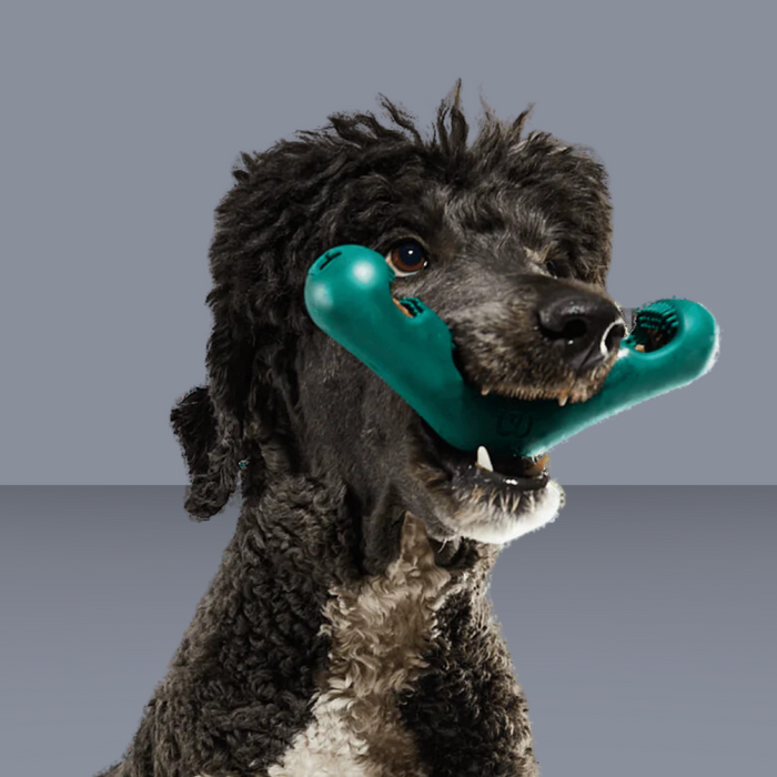 Woof Bite N Brush S