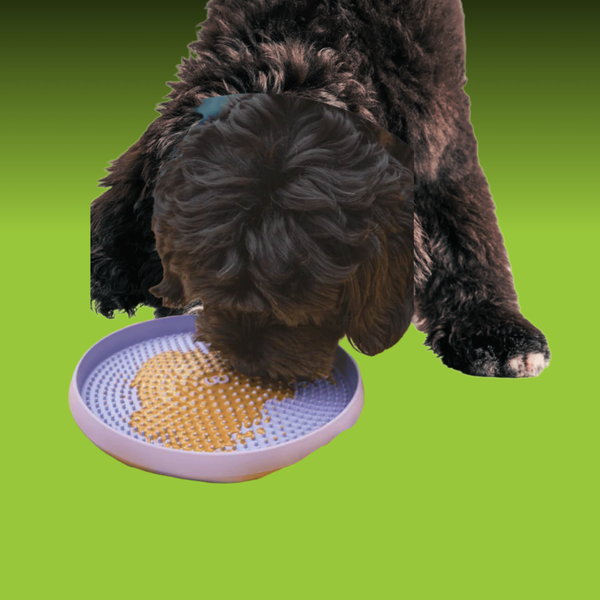 Woof Forager Fly N Feed