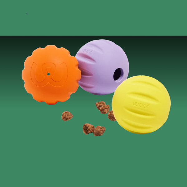 Woof Forager Flyball 3 Pack