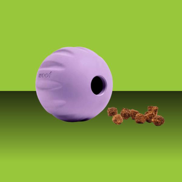Woof Forager Flyball Lavender