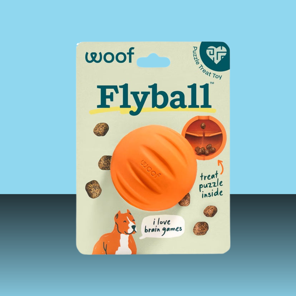 Woof Forager Flyball Orange