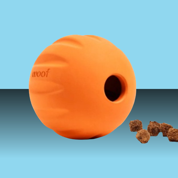 Woof Forager Flyball Orange