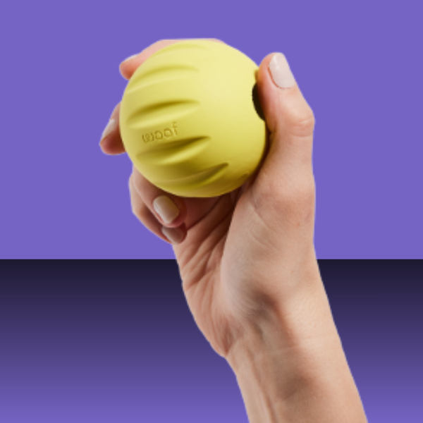 Woof Forager Flyball Yellow