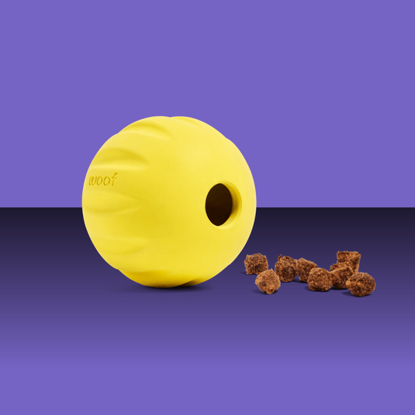 Woof Forager Flyball Yellow
