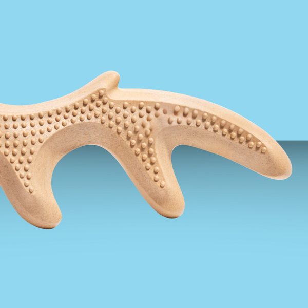 Woof Honest Chew Antler M