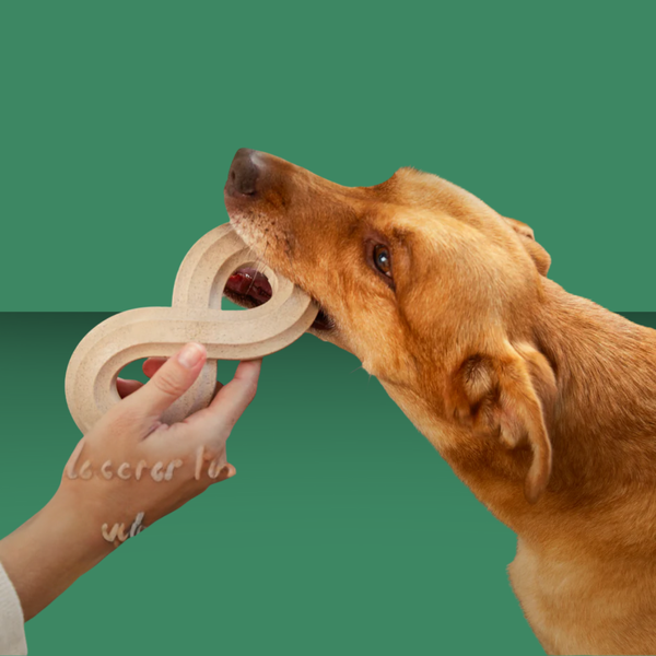 Woof Honest Chew Infinity Bone L
