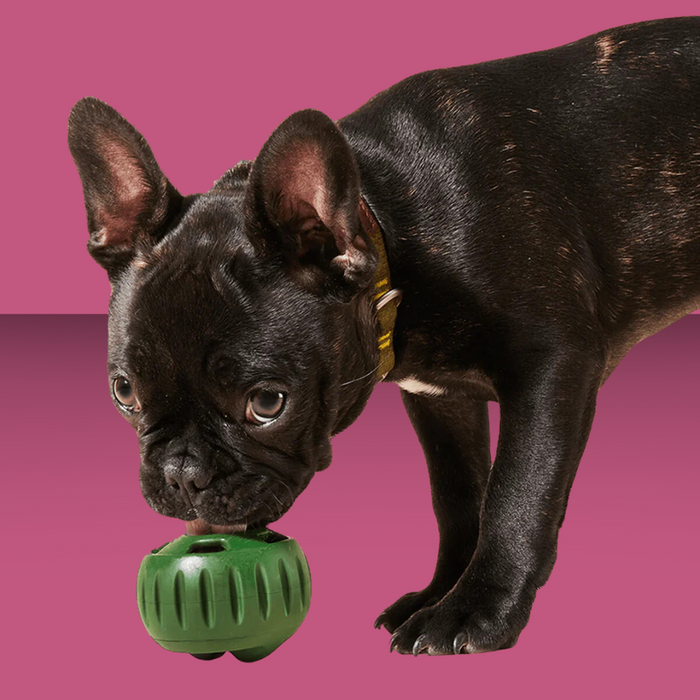 Woof The Pupsicle Green S