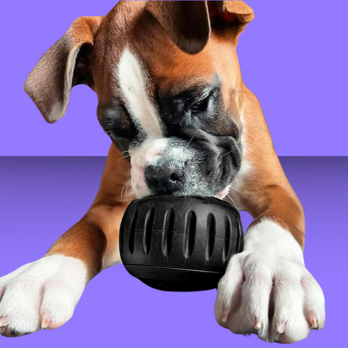 Woof The Pupsicle Super Chewer L